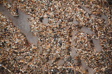 seashell beach clear water in the sea seashell beach