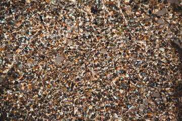 seashell beach clear water in the sea seashell beach