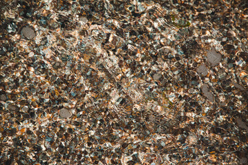 seashell beach clear water in the sea seashell beach