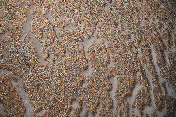 seashell beach clear water in the sea seashell beach