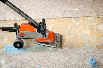 ein Teppich, Auslegware wird mit Hilfe eines Stripper entfernt.
