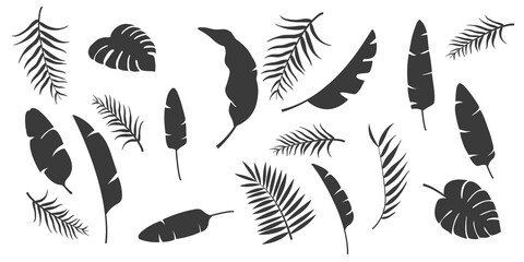 Fototapeta na wymiar Set silhouettes vector leaves. Tropical monochrome leaves collection isolated on the white background. Palm, fan palm, monstera, banana. Illustration in black and white colors. 