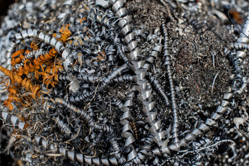 Chunks and metal filings curled up in springs, rubbish