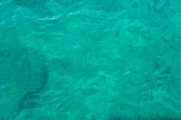 Fototapeta na wymiar Portrait of clear blue sea as abstract background