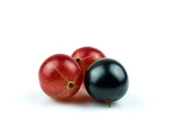 Berries of currants and gooseberries close-up isolated on a white background.