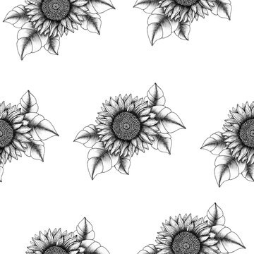 sunflower seamless background, black and white floral design for wallpaper, wrapping and fabric, vintage sunflower textile design
