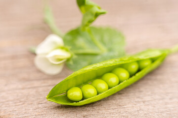 Pod with flowers and greens rustic