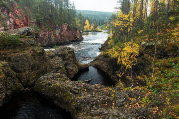 Fototapeta na wymiar Oulanka National Park. Autumn foliage next to Kiutaköngäs waterfall and rapids in Northern Finland. 