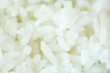 Fototapeta na wymiar cooked rice closeup