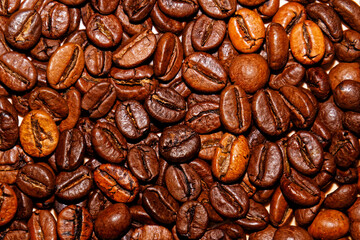 coffee beans