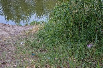Heaps of dirty garbage rubbish in nature, pollution, plastic.