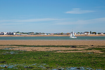 Natural coastal landscape at Mersea Island Essex, England