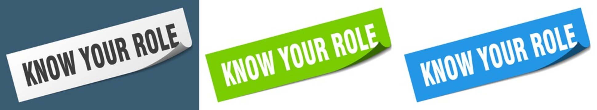 know your role paper peeler sign set. know your role sticker