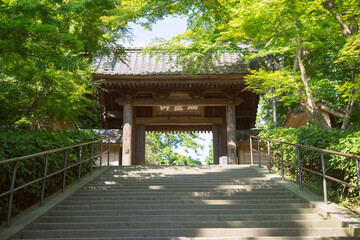 Engakuji Temple gate and stone staircase in Kamakura, Japan　鎌倉 円覚寺の総門と石の階段