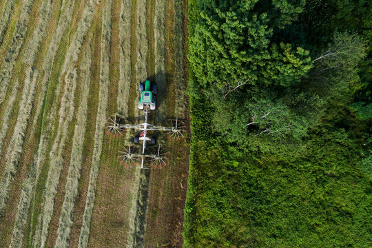 An Aerial Of A Tractor Raking Grass Into Neat Columns In Summer Grassland To Make Hay, Estonia. 