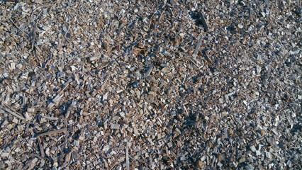 wood and wood chips - fuel for bio power plants