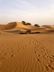 desert sand dunes