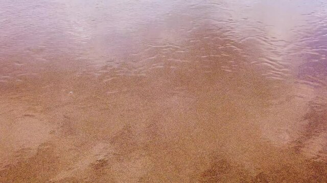 Sandy coast and oncoming sea waves.