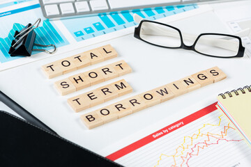 Total short term borrowings concept