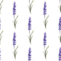 Vector illustration: seamless pattern of lavender flowers. Watercolor painting