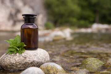 Old pharmacy bottles - mint leaves.
