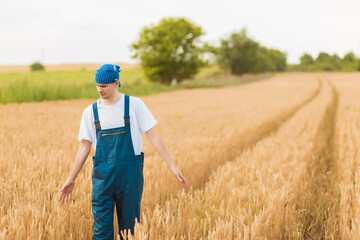 Naklejka na ściany i meble Farmer walking and examining his beautiful wheat field.