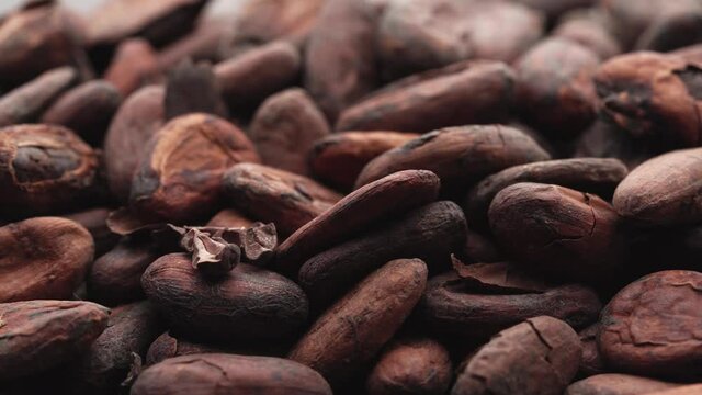 Cocoa beans. Macro, cocoa beans coming in slow motion the camera.