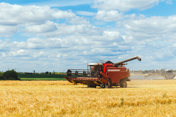 The combine harvests ripe wheat in the grain field.