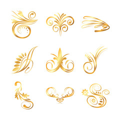Fototapeta na wymiar set of elegant floral ornaments gold