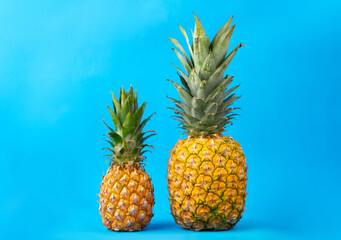 Image of two ripe fresh pineapple on blue background