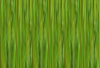 texture green effect bamboo trunk background linear eco base substrate