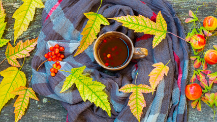 Autumn still life with cup of tea, warming scarf and colorful leaves over rustic wooden background