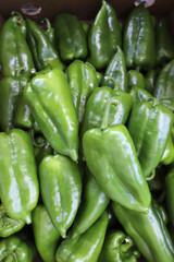 Obraz na płótnie Canvas Fresh green peppers. Vegetables pattern, full frame