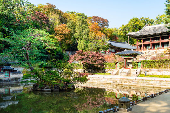 SEOUL, SOUTH KOREA - OCTOBER 31, 2019: tourist near Juhamnu hall and Buyeongji pond in Huwon Secret Rear Garden of Changdeokgung Palace Complex in Seoul city on autumn day