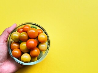 cup of tomato on a yellow background