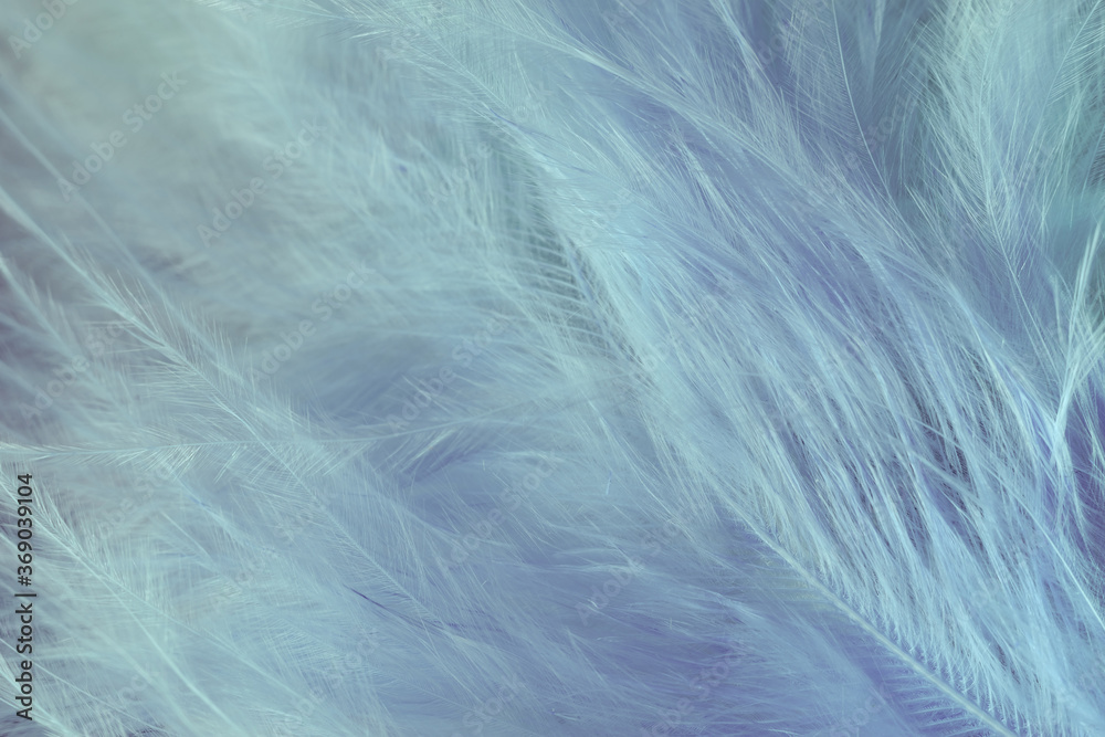 Aufkleber close up bird feather. beautiful background texture. macro photography view.