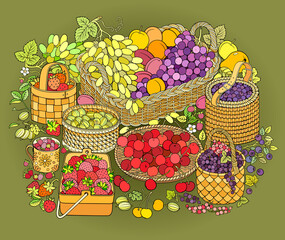 A lot of fruits and berries in baskets