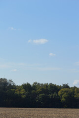 Autumn landscape with forest  and blue sky.