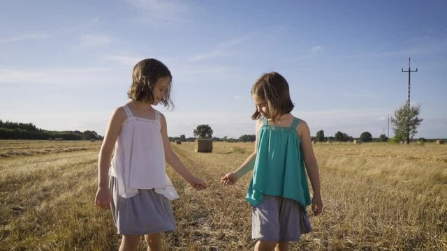 two charming girls are walking on mowed rye in the field 