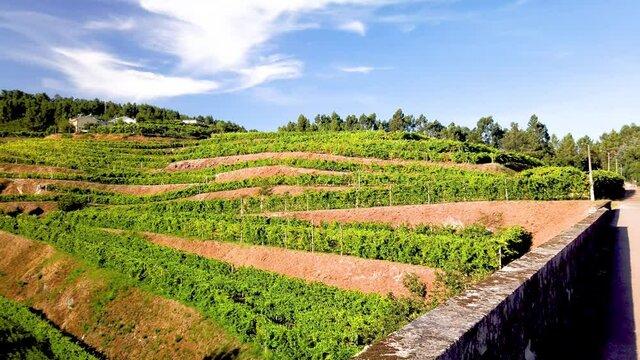 View from Amarante's Cycling Trail over the valley in Portugal. Features a wide view of the natural scenery.