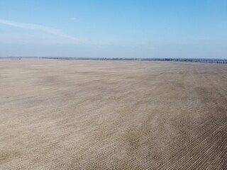 Agricultural fields on a sunny spring day, aerial view. Landscape. Blue sky over the fields.