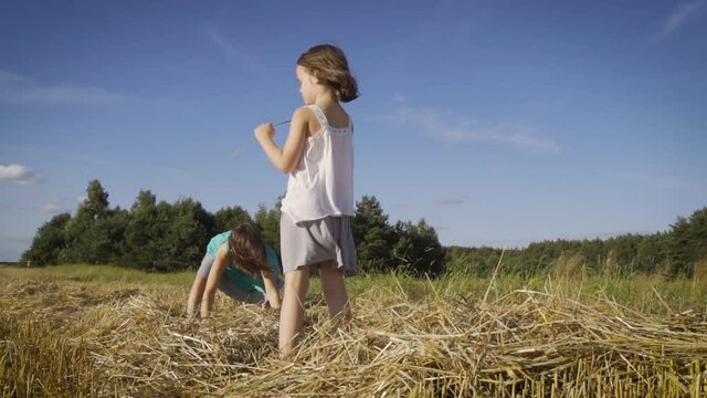 two cute girls are playing with mowed rye in the field 