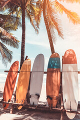 Planche de surf et palmier sur fond de plage.