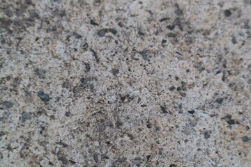 Old cement wall texture for background. 