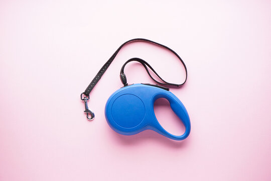Blue retractable dog leash on a pink background. Flat lay.