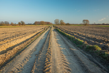 Fototapeta na wymiar A dirt road through ploughed fields, horizon and cloudless sky