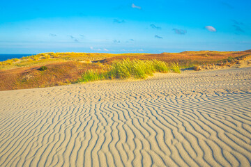 Sand textures at Grey Dunes, Dead Dunes at the Curonian Spit in Nida, Neringa, Lithuania