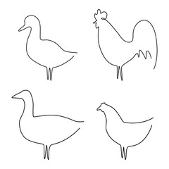 Farm animals line set vector illustration. Cock, duck, chicken and goose isolated on white. Domestic birds collection. Continuous line drawn animal group.