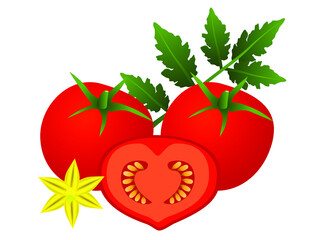 Whole tomatoes and a half, flower and leaves, isolated on a white background.
