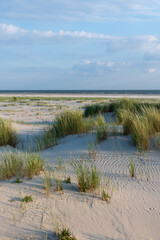 The green grass covered sand dunes of the Frisian island Juist in sunny summer light.